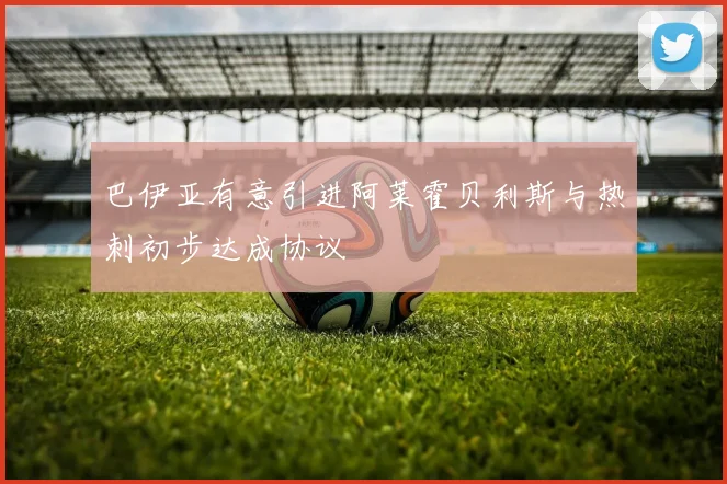 巴伊亚有意引进阿莱霍贝利斯与热刺初步达成协议