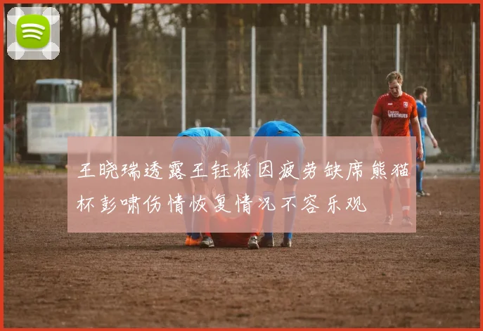 王晓瑞透露王钰栋因疲劳缺席熊猫杯彭啸伤情恢复情况不容乐观
