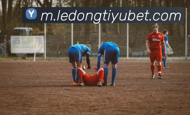 乐动体育APP 封面图